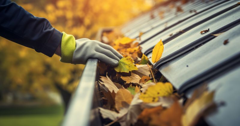 Autumn Gutter Maintenance
